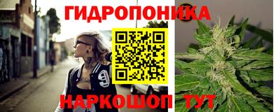 spice Гусиноозёрск