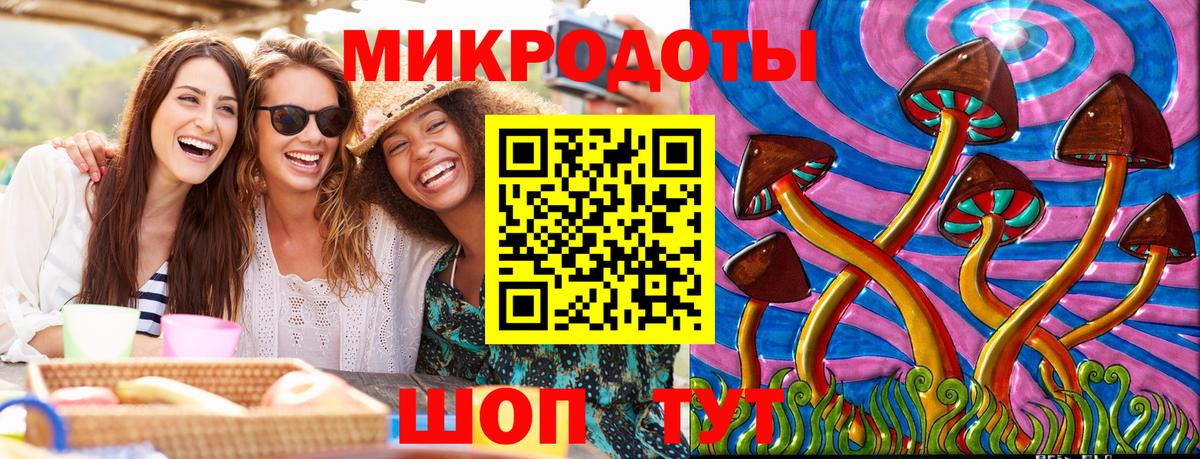 Псилоцибиновые грибы Psilocybine cubensis Красногорск