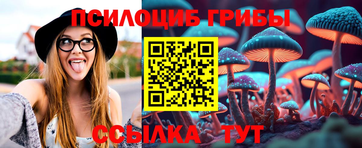 Красногорск  Галлюциногенные грибы мухоморы  Вход с VPN 